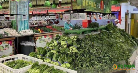 江蘇蔬菜價格小幅上揚，新鮮蔬菜零售市場動態(tài)分析