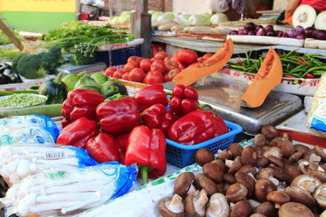 蔬菜地?cái)?城市中的新鮮綠洲